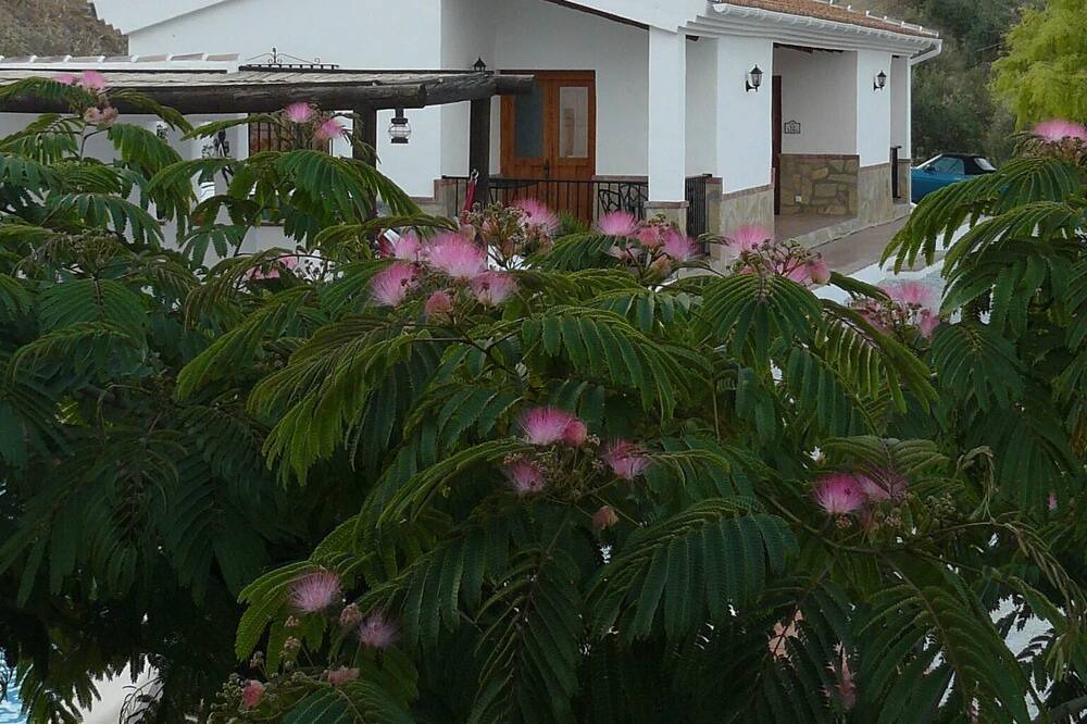 Photo of Outdoor in Santa Cruz del Comercio