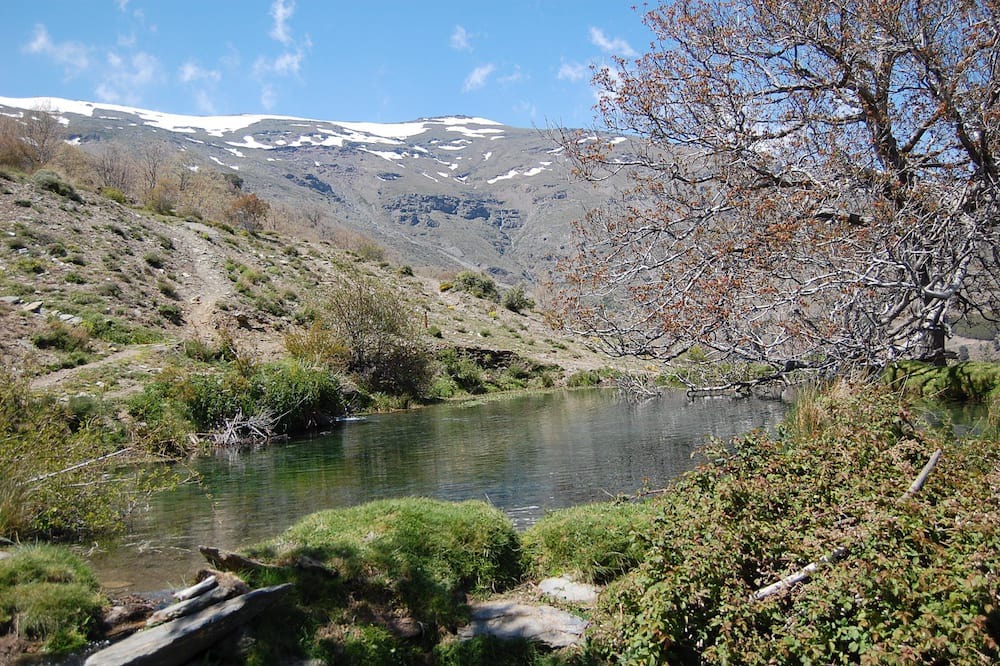 Photo of Others in Capileira