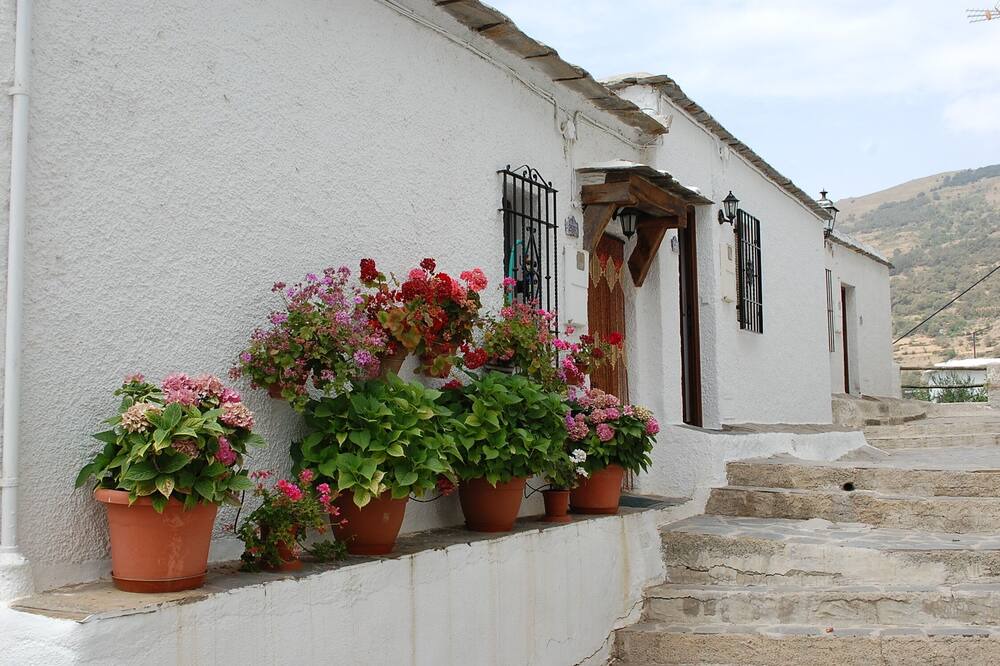 Photo of Others in Capileira