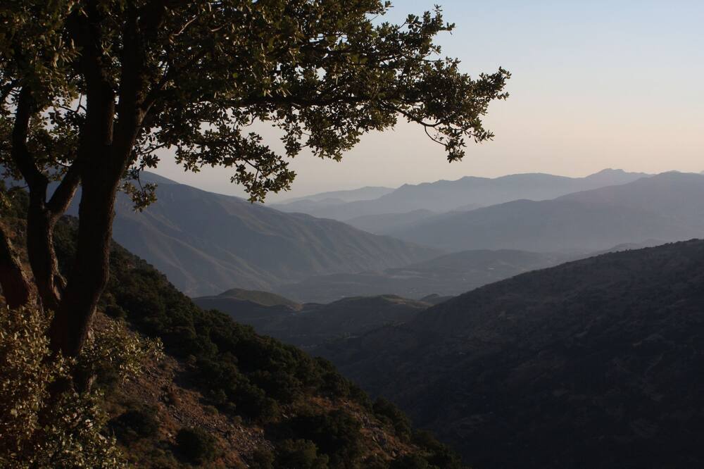 Photo of Others in Capileira