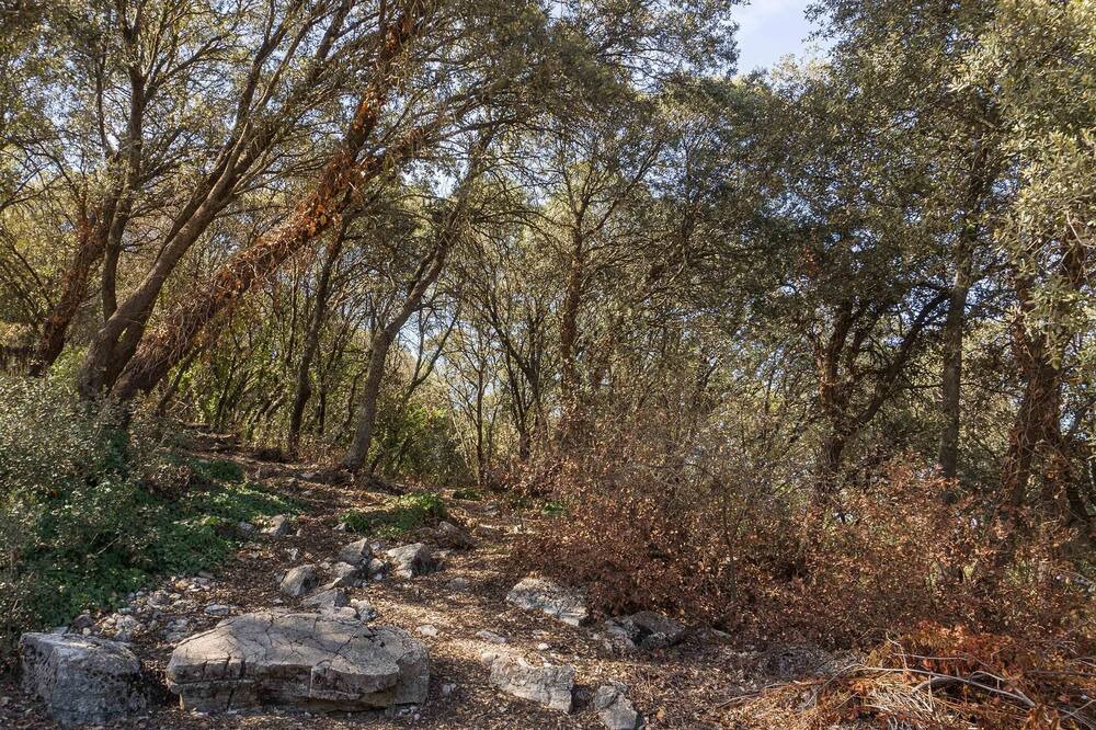Photo of Outdoor in Illora