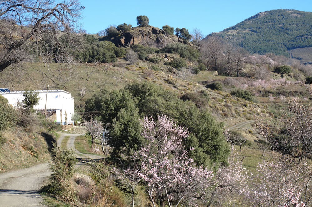 Photo of Outdoor in Berchules
