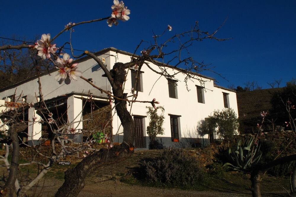 Photo of Outdoor in Berchules