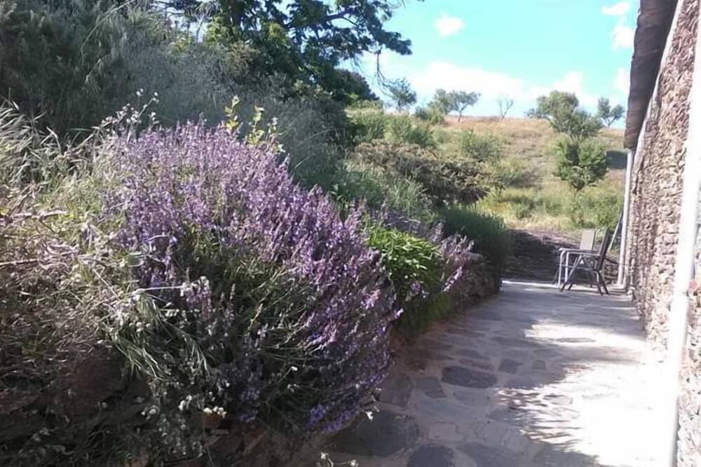Photo of Patio Balcony in Berchules