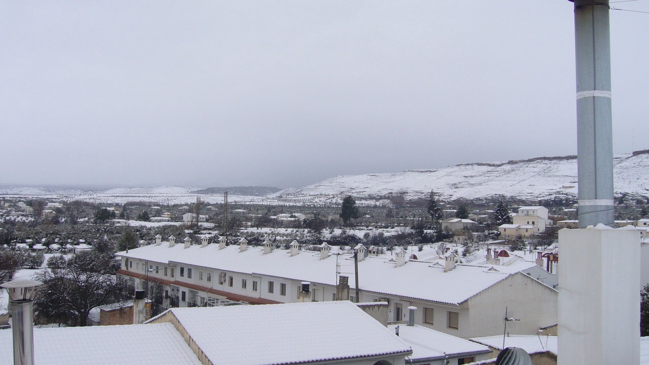Photo of Others in Baza