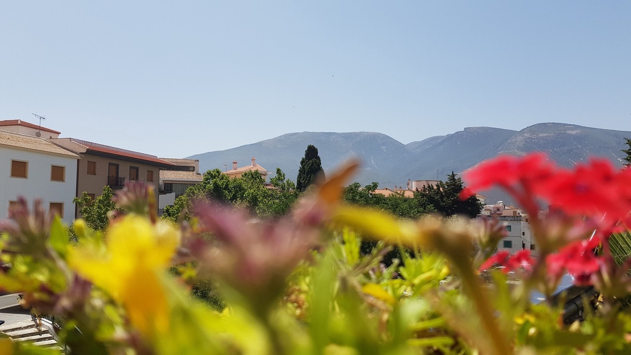 Photo of Outdoor in Orgiva