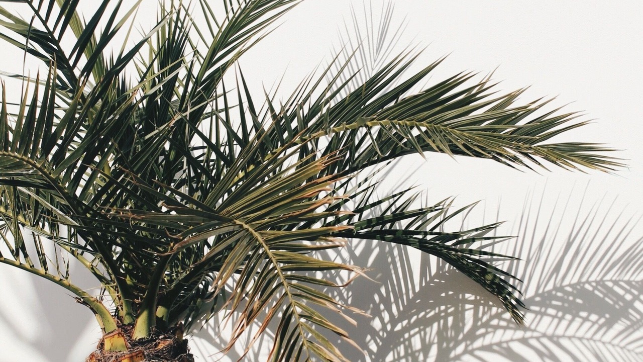 Photo of Outdoor in Melegis