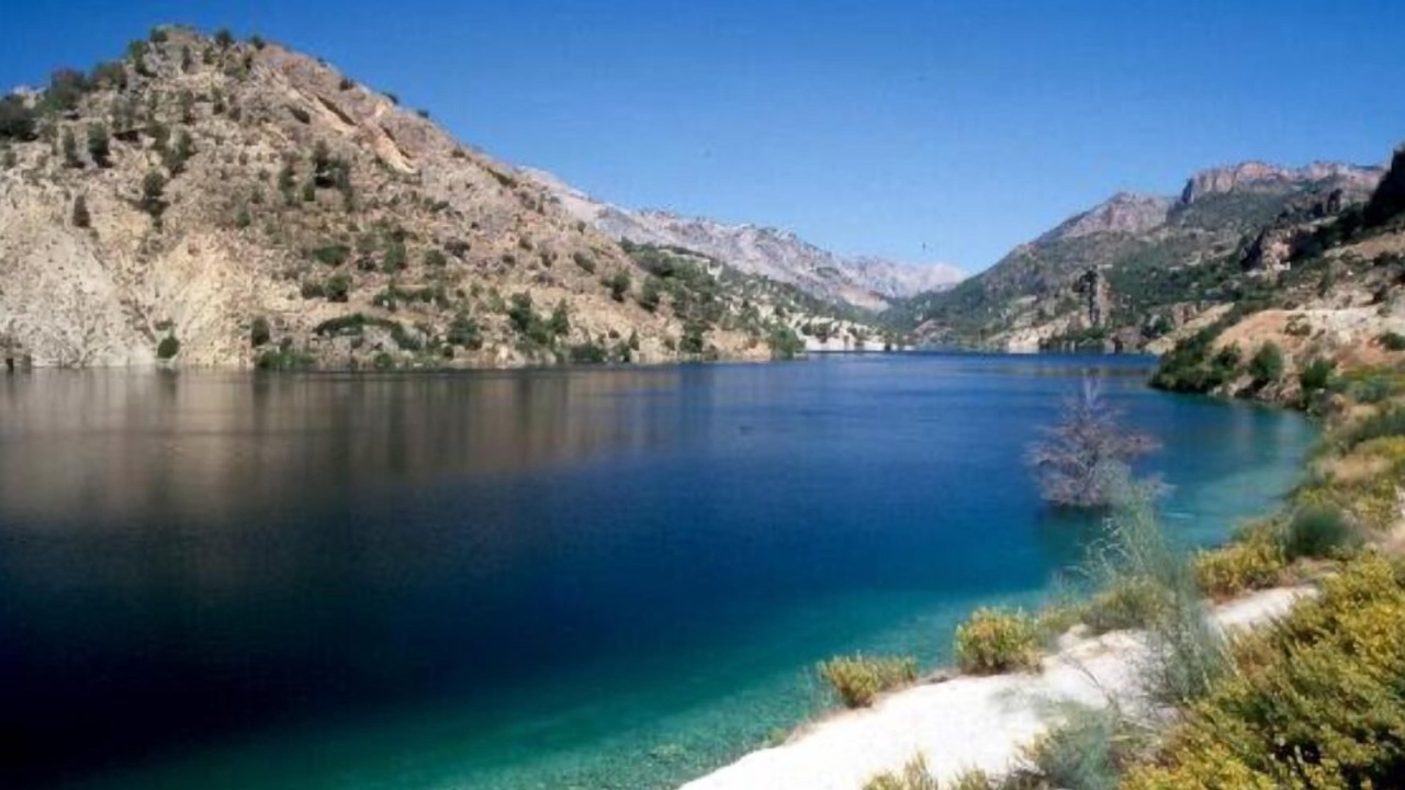 Photo of Others in Baza