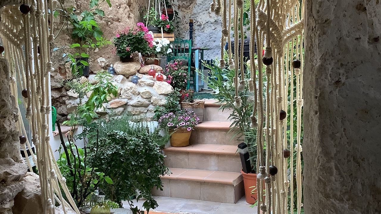 Photo of Others in Baza
