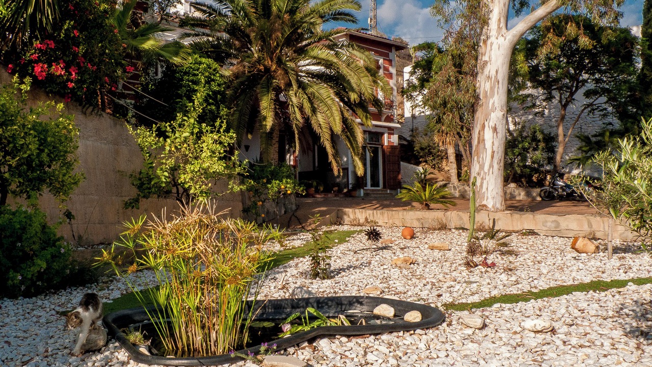 Photo of Outdoor in Albunol