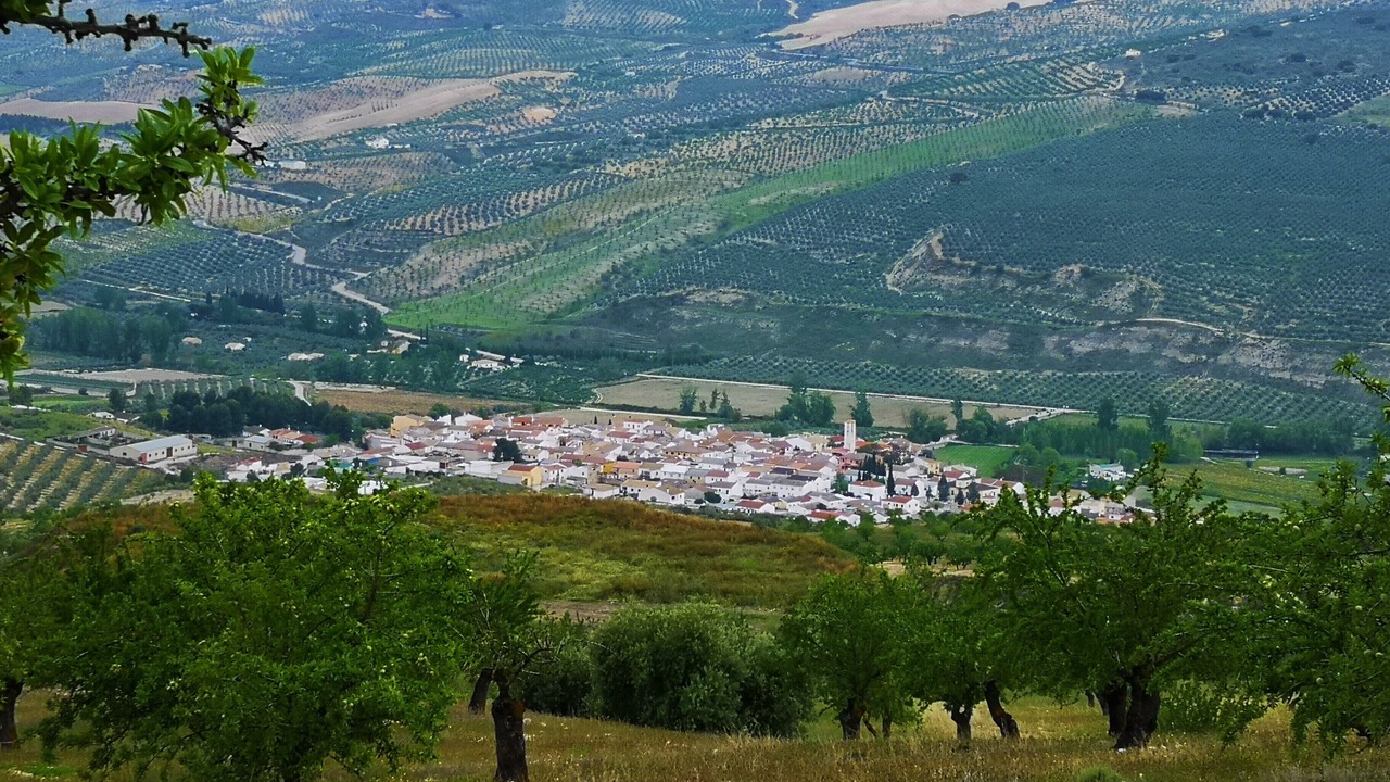 Photo of Others in Cacin