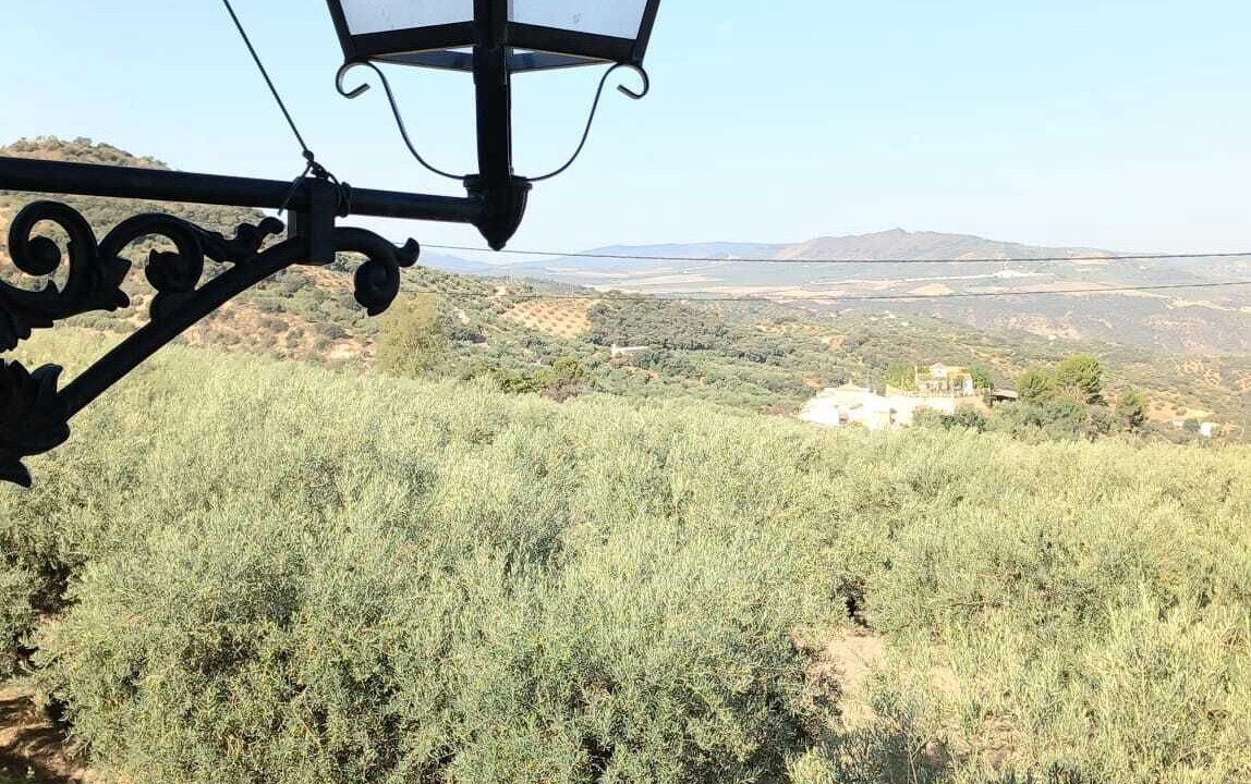 Photo of Outdoor in Zagra