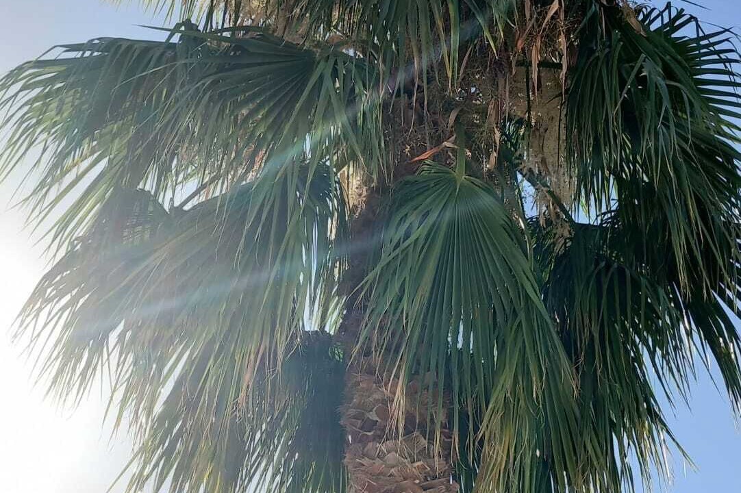 Photo of Outdoor in Zagra