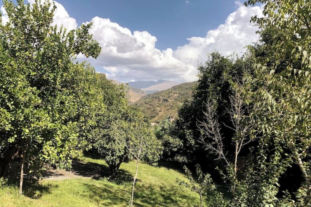 Photo of Outdoor in Guejar Sierra