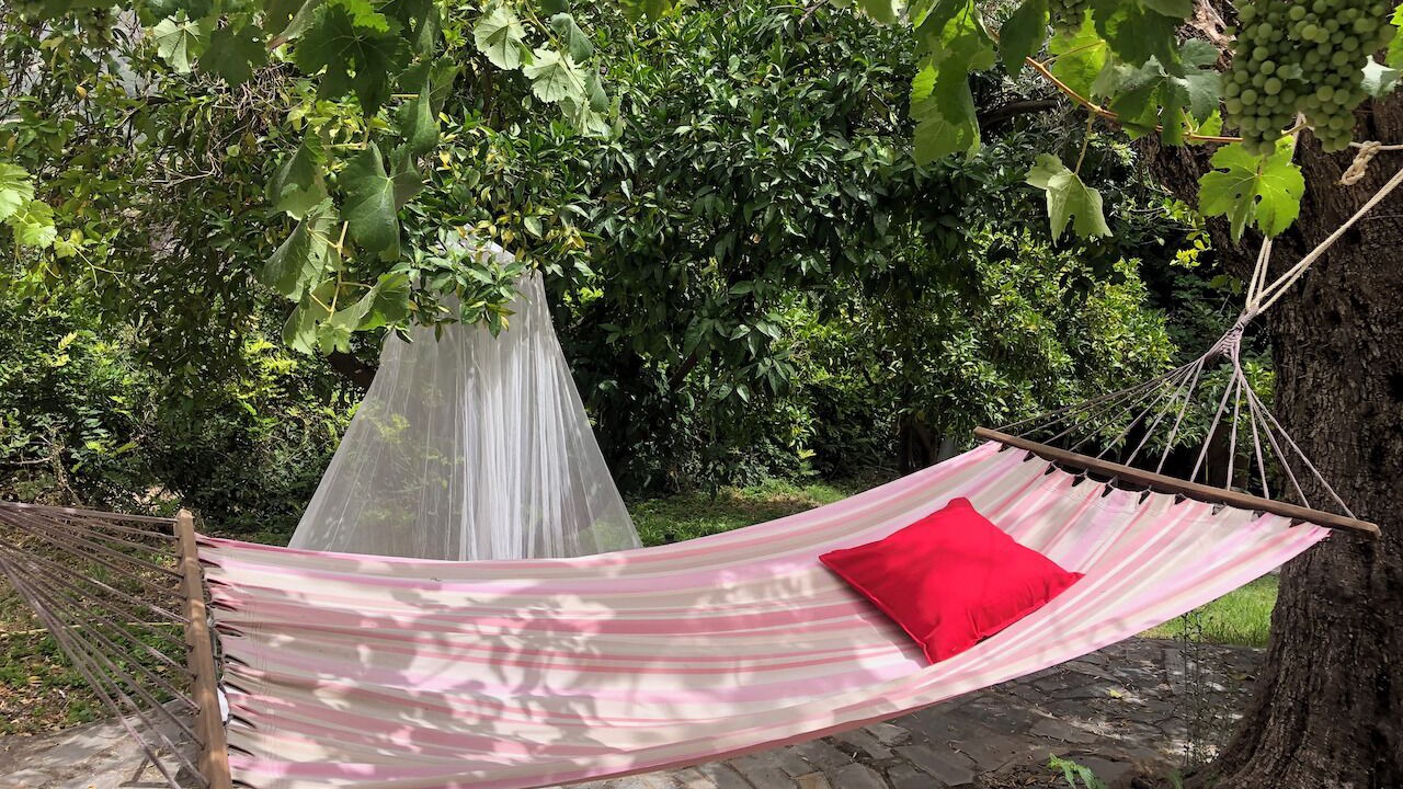 Photo of Outdoor in Guejar Sierra