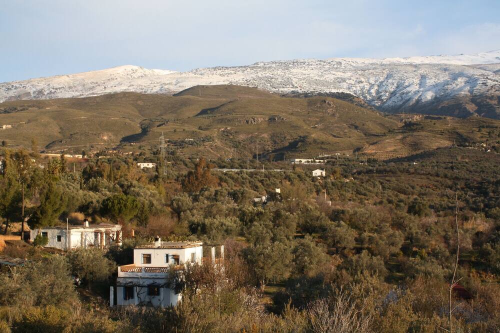Photo of Outdoor in Orgiva