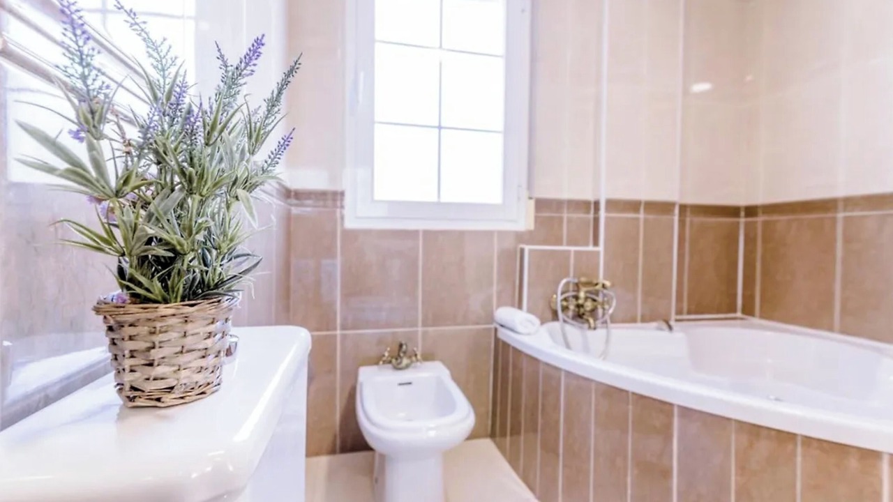 Photo of Bathroom in Peligros