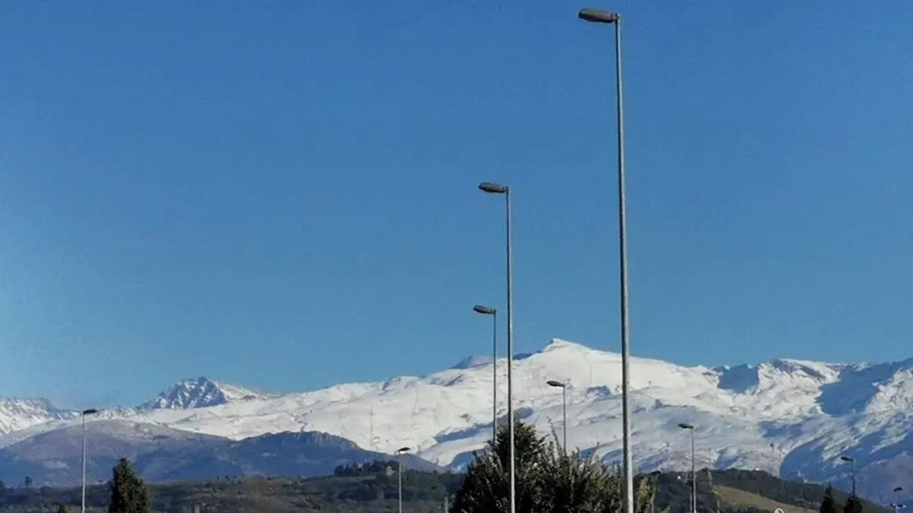 Photo of Others in Peligros