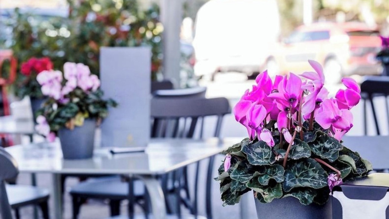Photo of Outdoor in Peligros