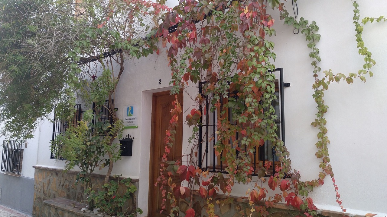 Photo of Outdoor in Castril