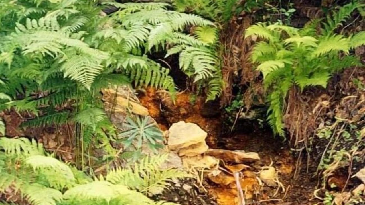 Photo of Outdoor in Murtas