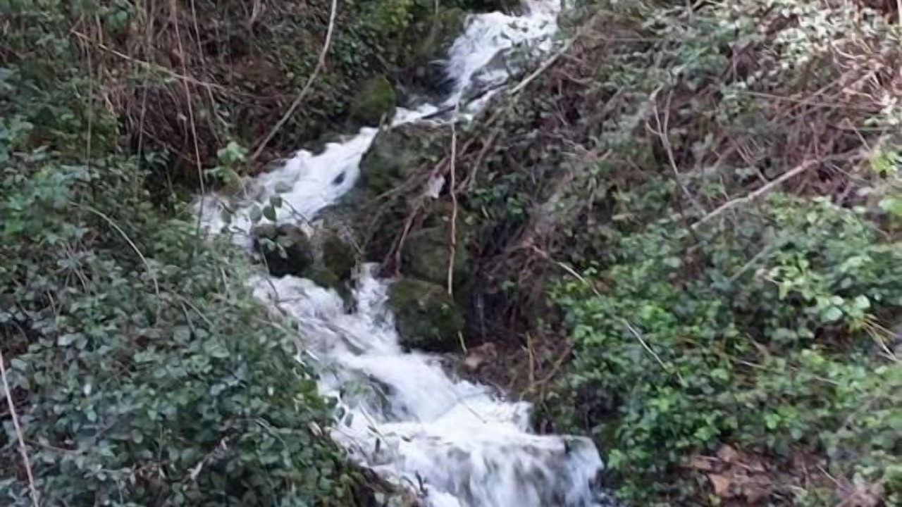 Photo of Outdoor in Murtas