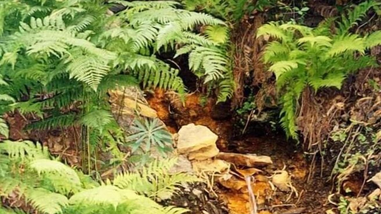 Photo of Outdoor in Murtas