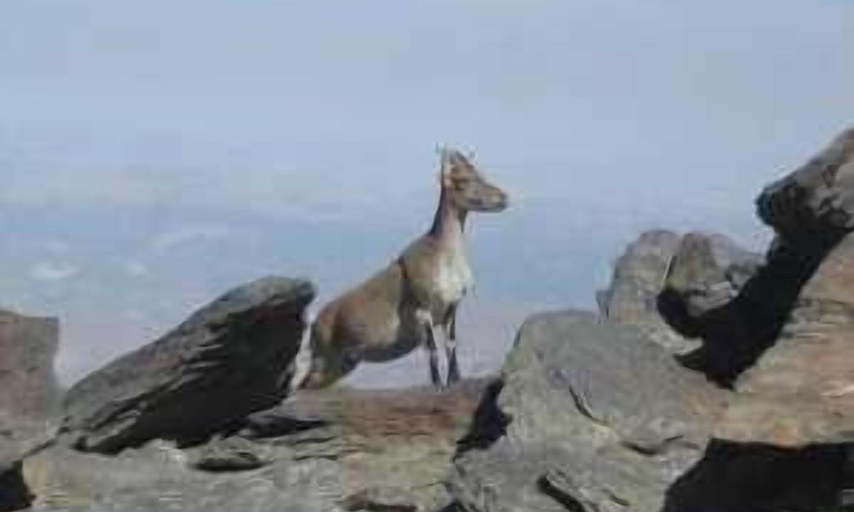 Photo of Others in Trevelez
