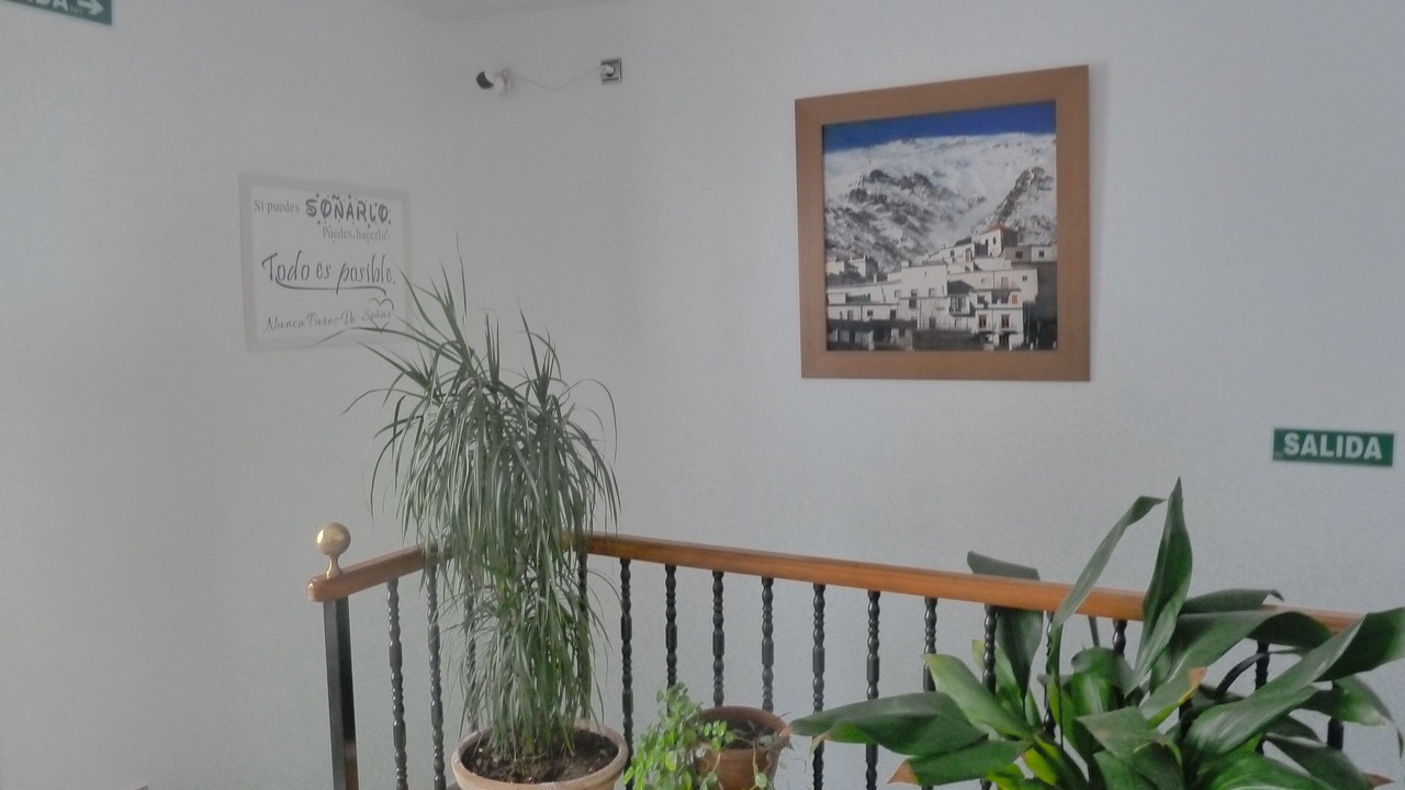 Photo of Livingroom in Trevelez