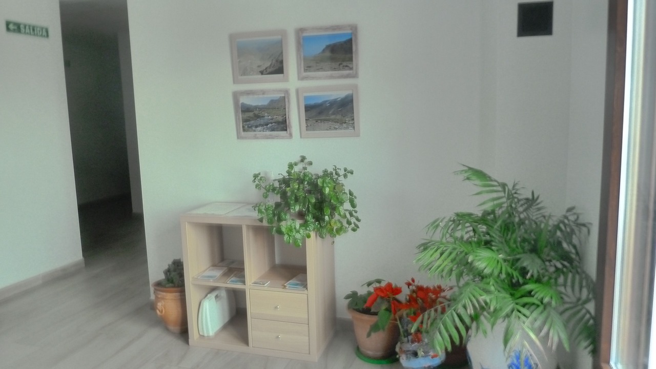 Photo of Livingroom in Trevelez