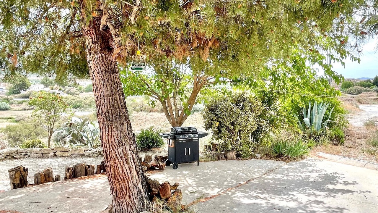 Photo of Outdoor in Cullar