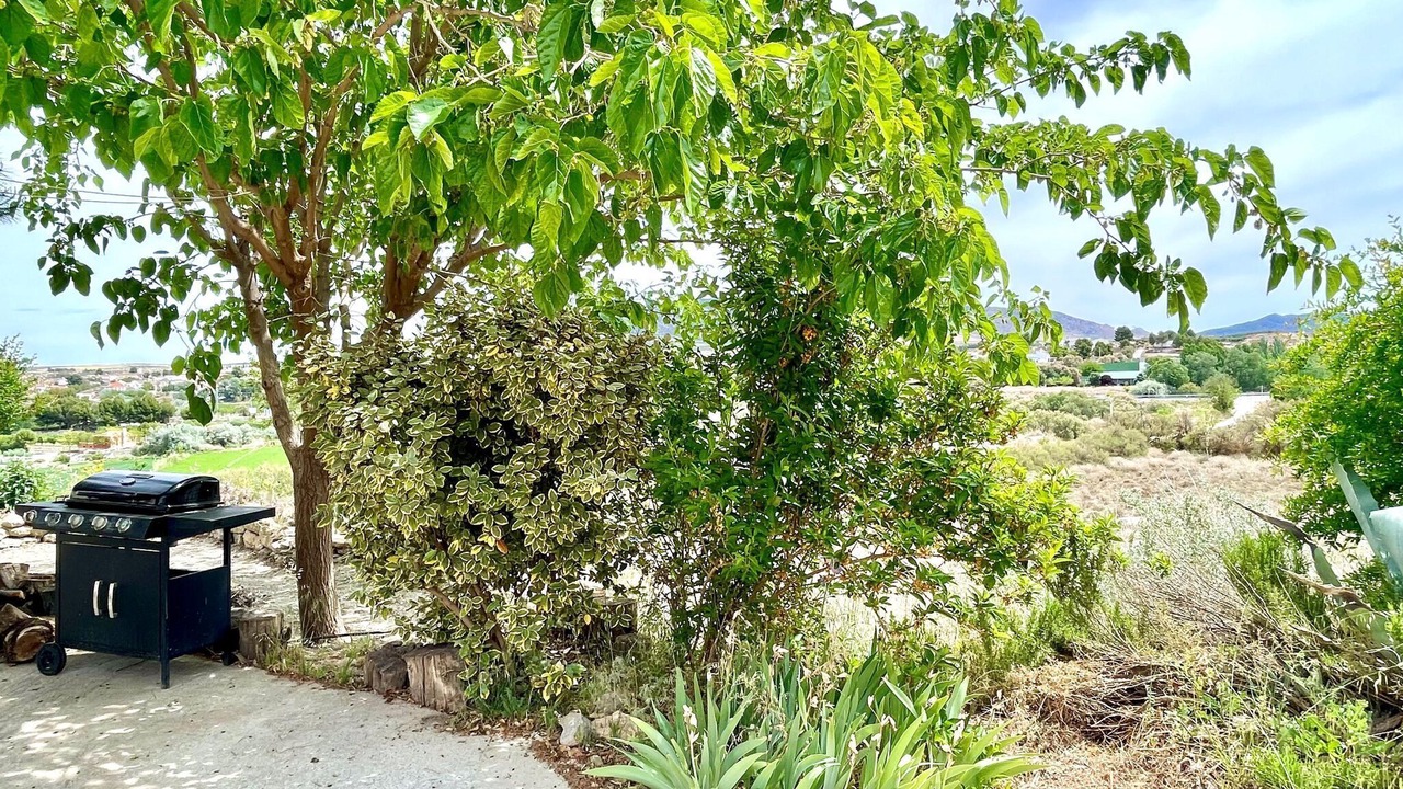 Photo of Outdoor in Cullar