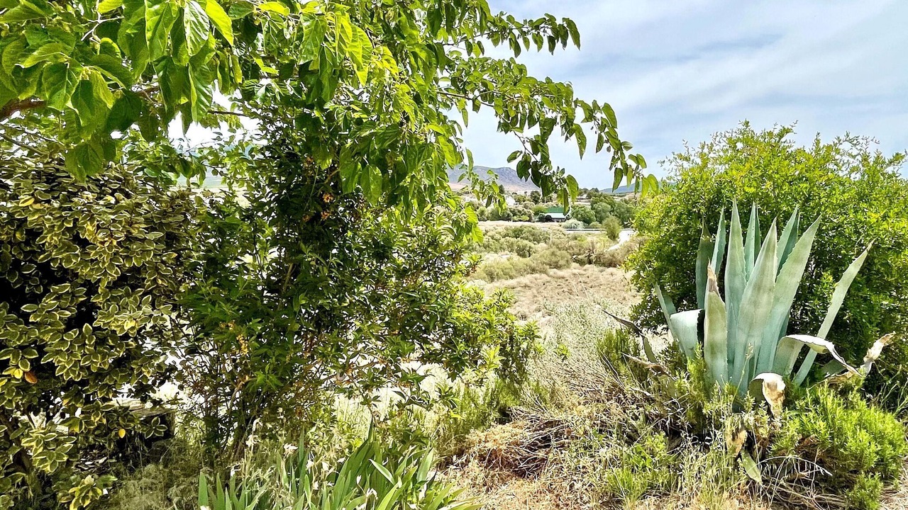 Photo of Outdoor in Cullar