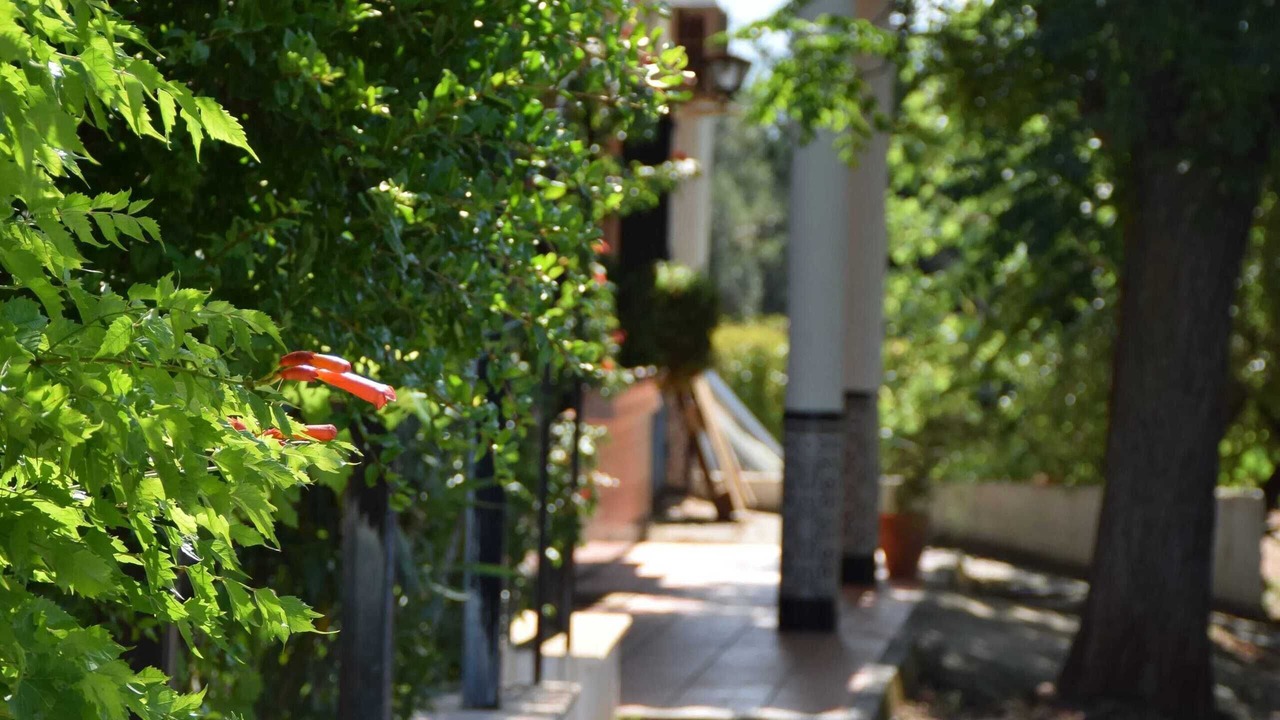 Photo of Outdoor in Atarfe