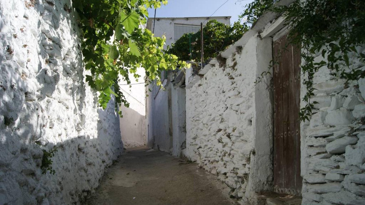 Photo of Outdoor in Cadiar