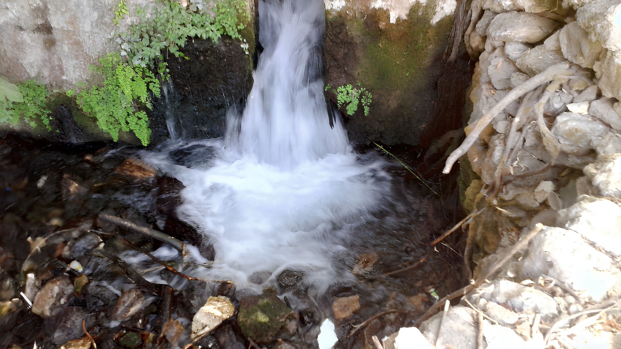 Photo of Bathroom in Loja
