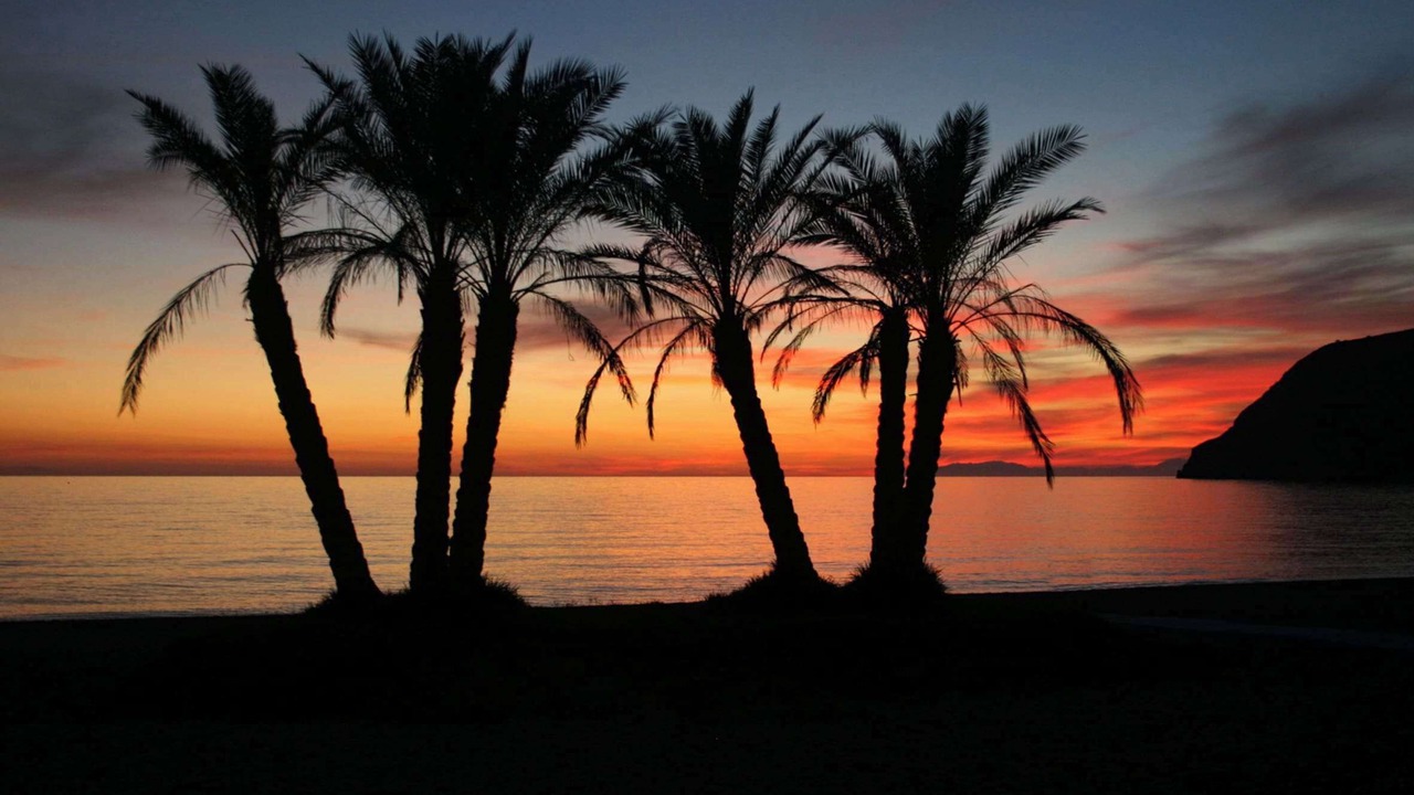 Photo of Others in La Herradura