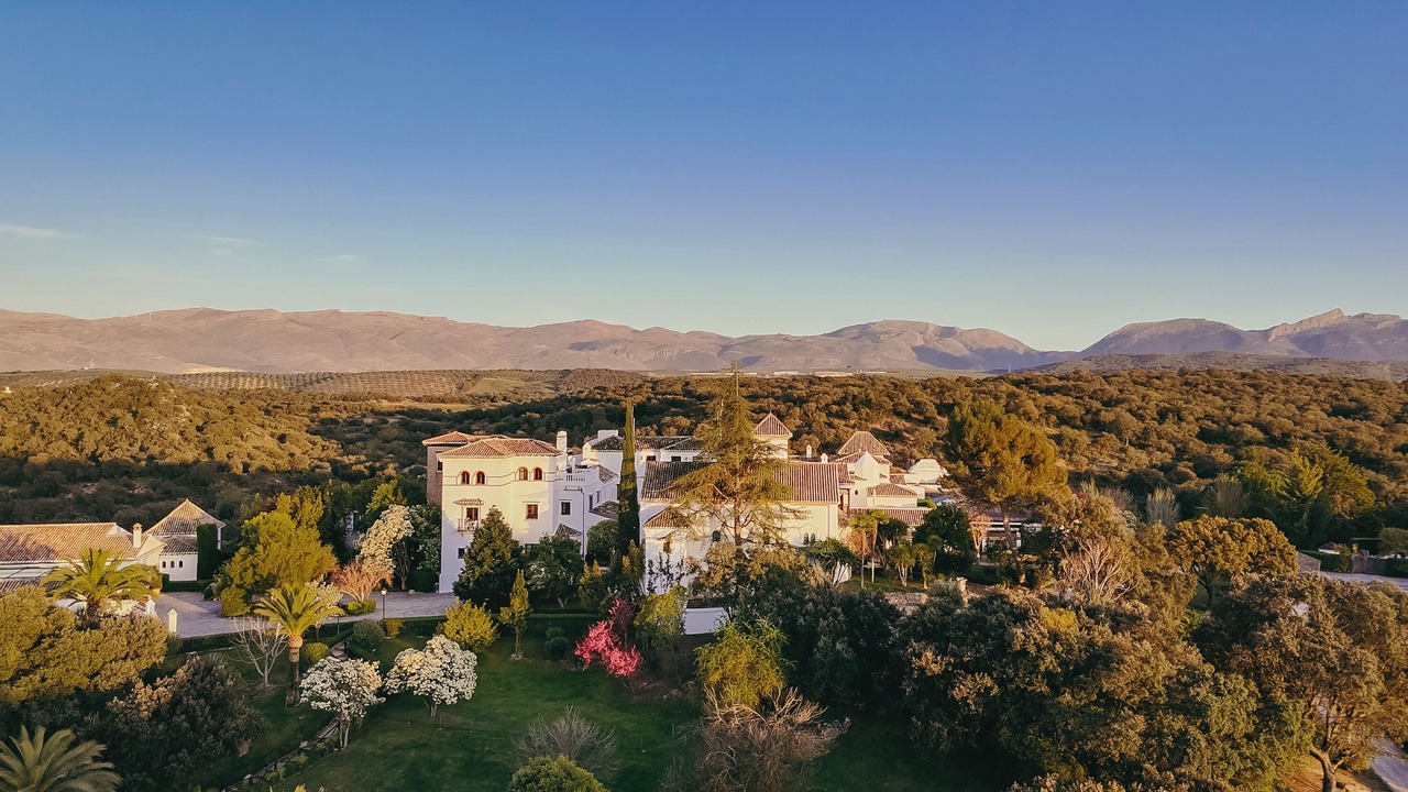 Photo of Outdoor in La Bobadilla