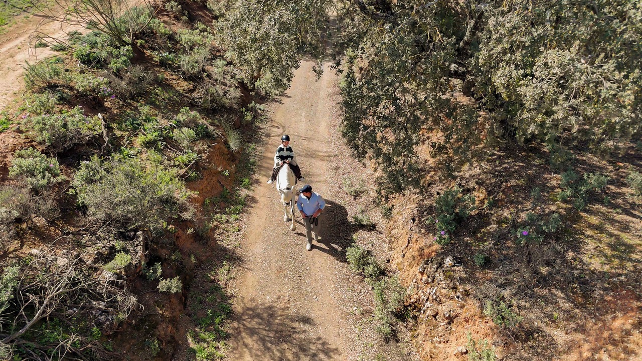 Photo of Others in La Bobadilla