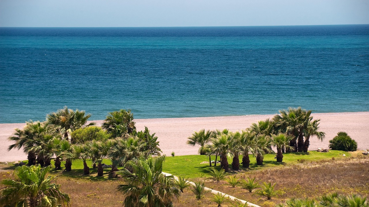 Photo of Others in Playa Granada