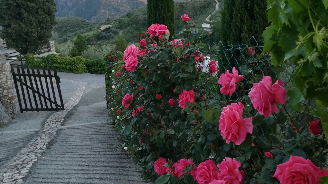 Photo of Outdoor in Carataunas