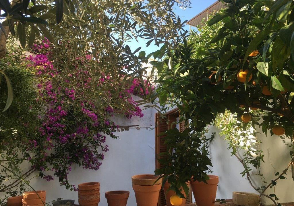 Photo of Outdoor in Otivar