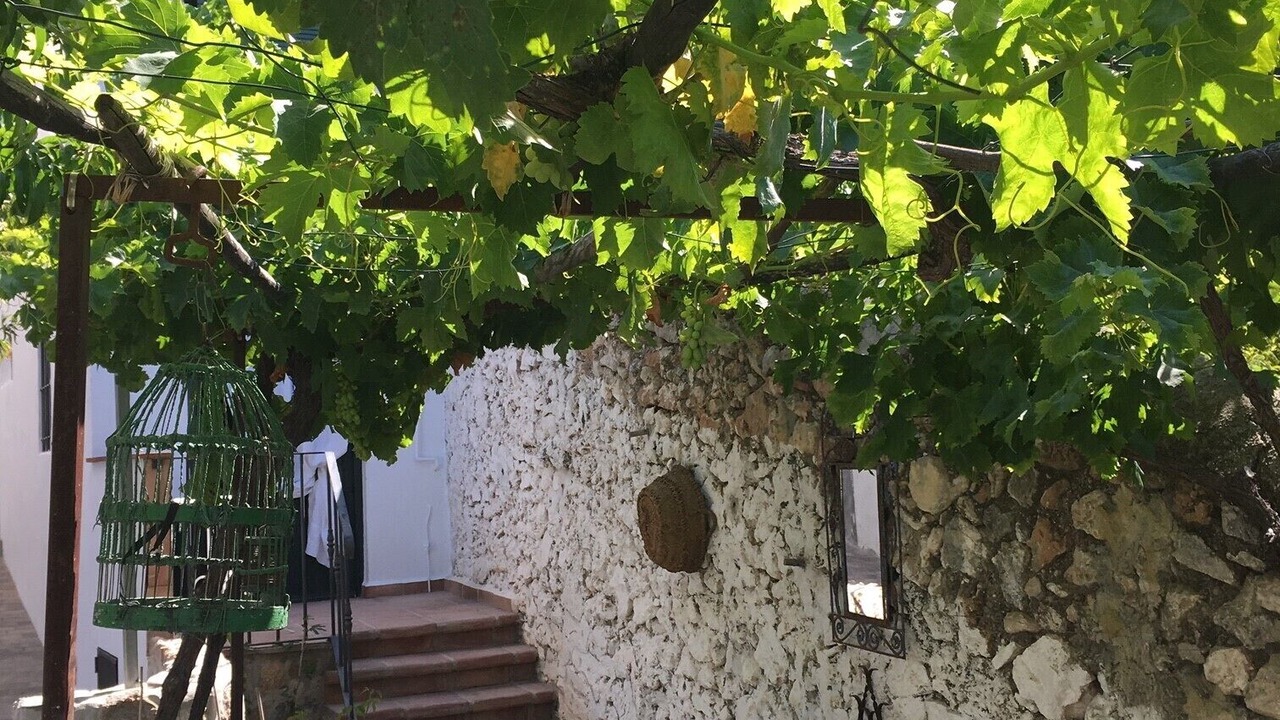 Photo of Outdoor in Otivar