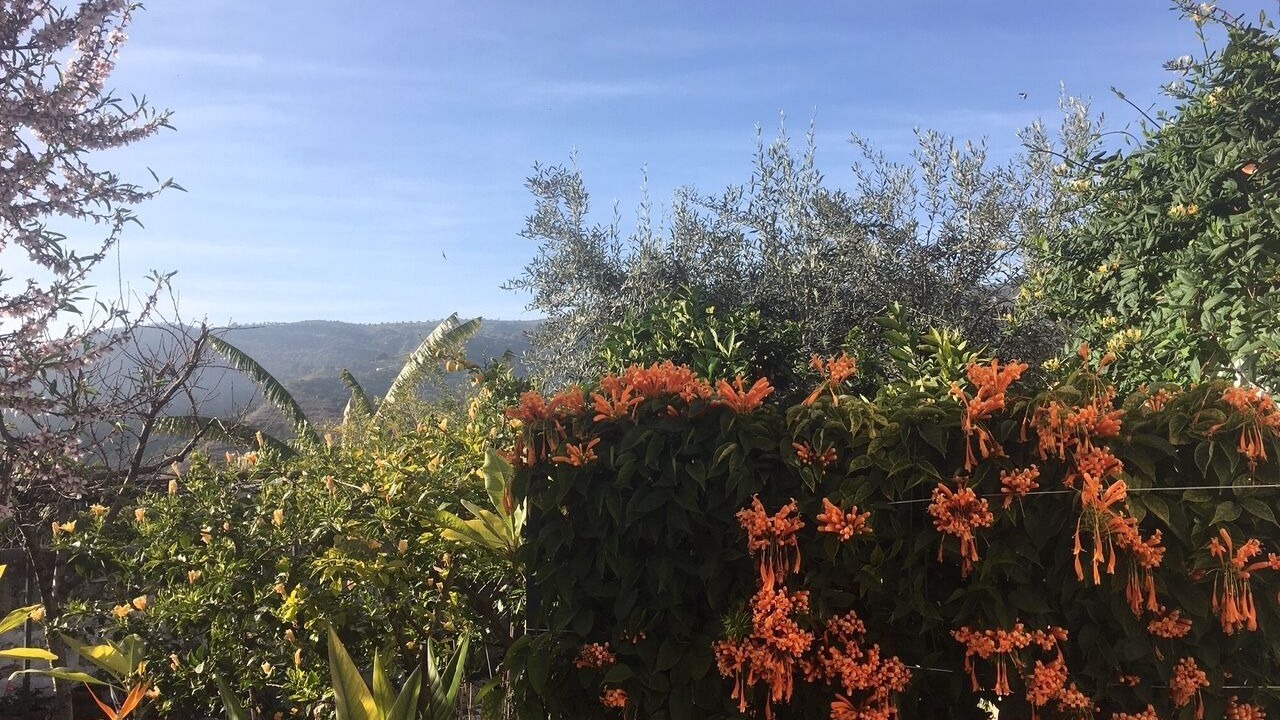 Photo of Outdoor in Otivar