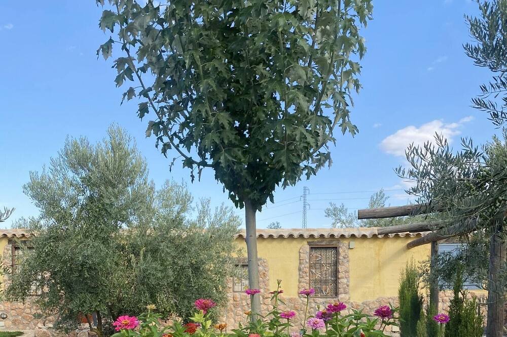 Photo of Outdoor in Baza