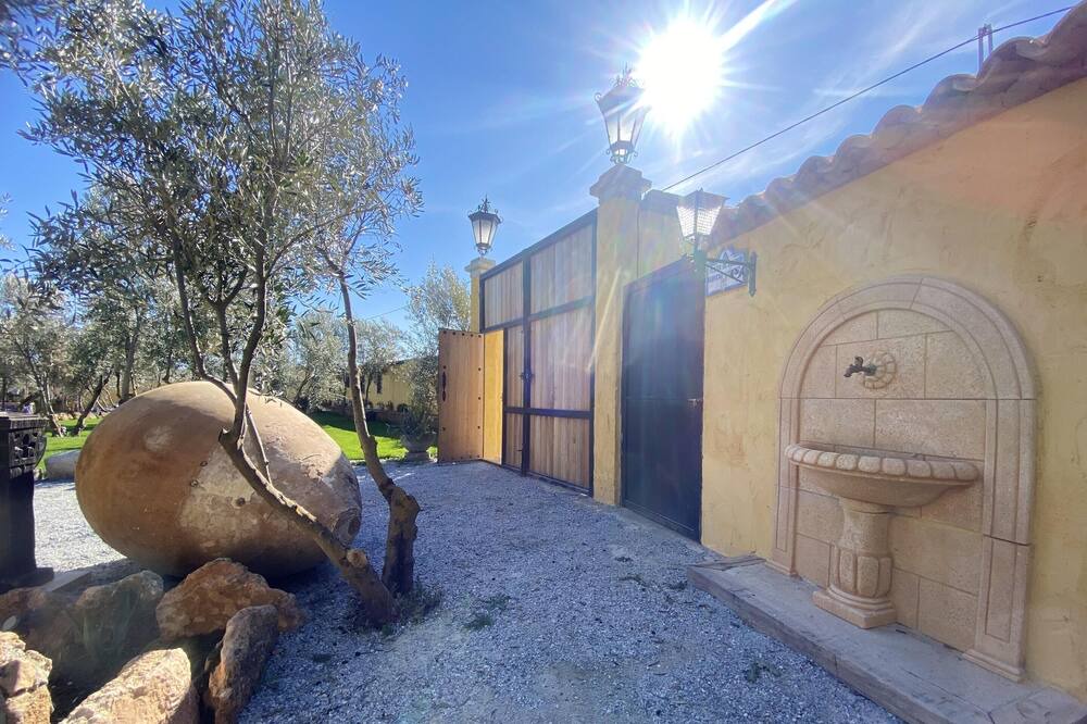 Photo of Others in Baza