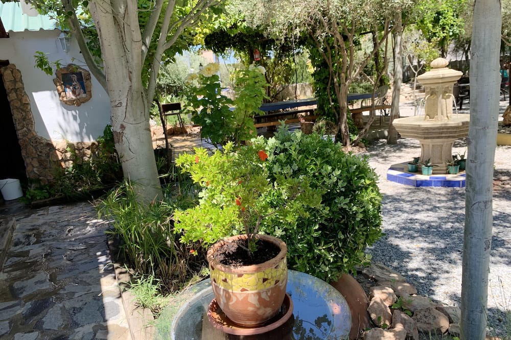Photo of Outdoor in Baza