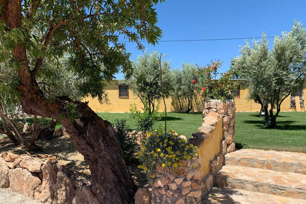 Photo of Outdoor in Baza