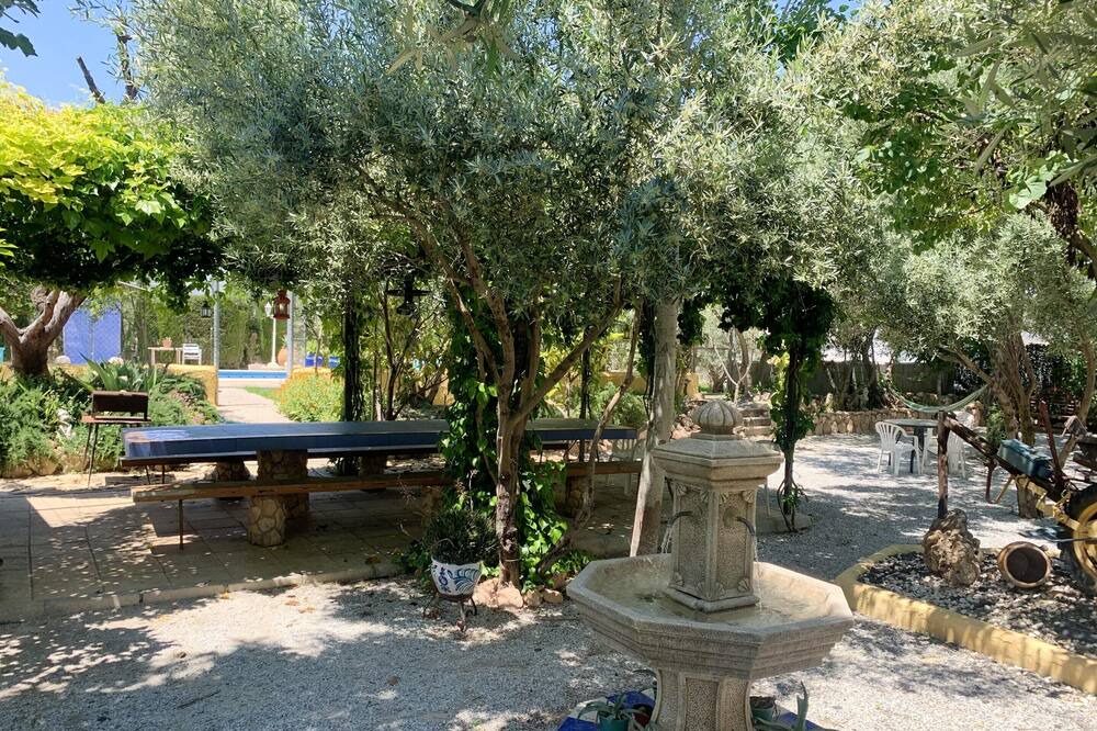 Photo of Outdoor in Baza