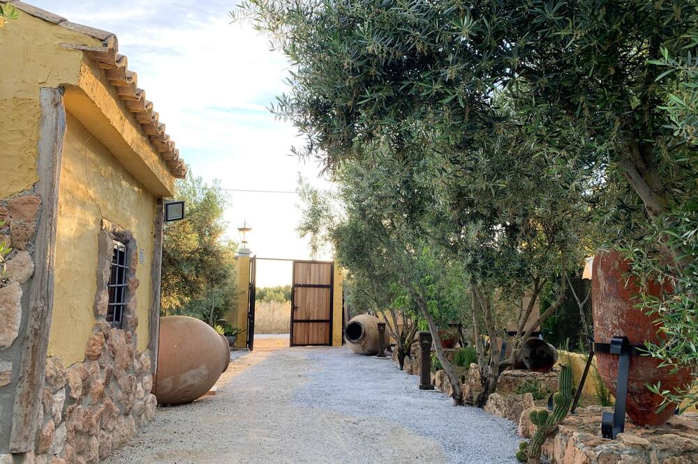 Photo of Outdoor in Baza